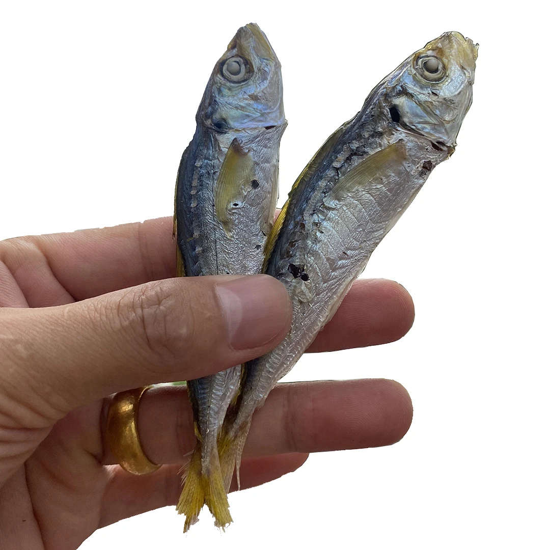 蝶鲜东山岛灯捕小巴浪鱼鱼干 250g天然日晒可以当零食