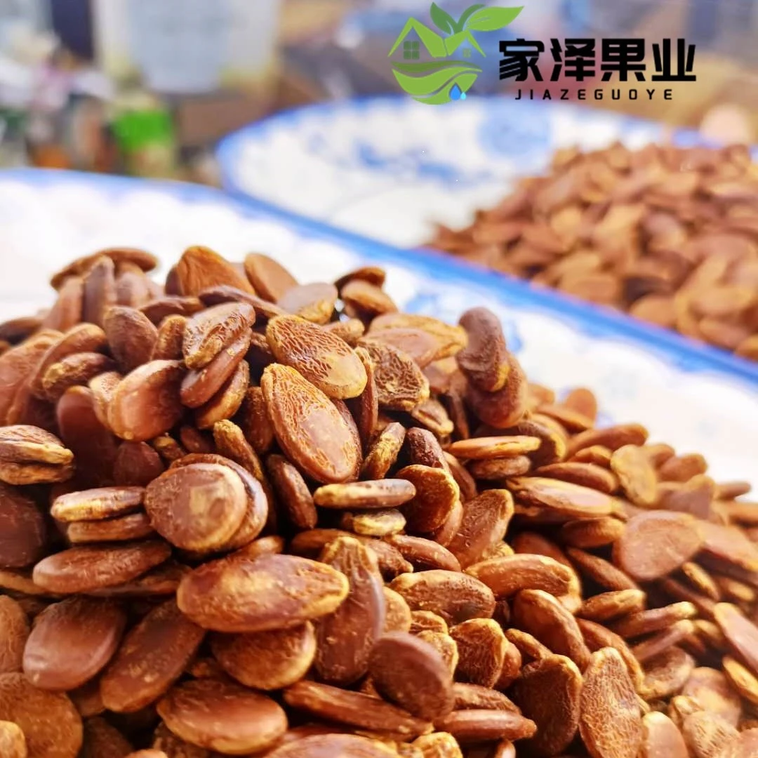 新疆焖湿西瓜子紫金红中片185*2包古法营养西瓜籽食用产品