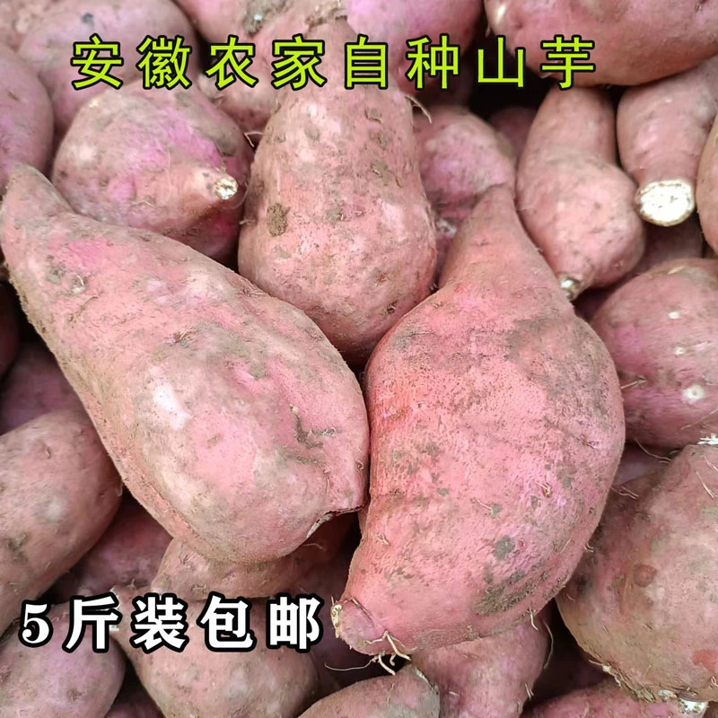 安徽芜湖无为襄安特产白心红薯老品种山芋番薯甜地瓜一份5斤包邮