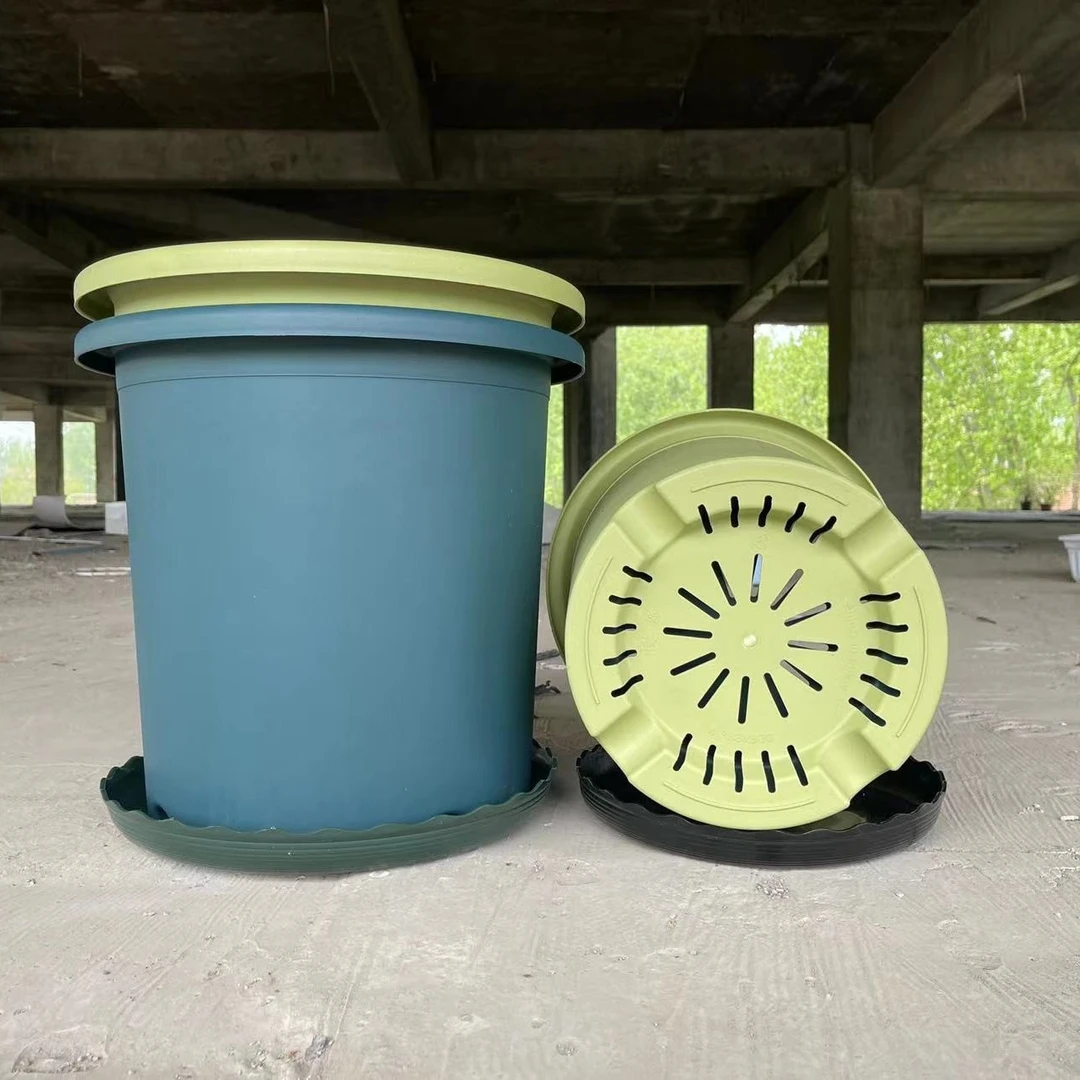 户外阳台藤本月季爬藤植物大口径加仑花盆