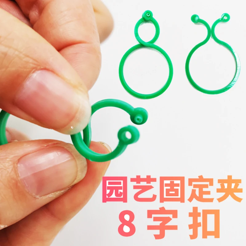 园艺8八字扣圈蝴蝶扣大八字植物捆绑扎带藤曼生长固定夹器葫芦圈