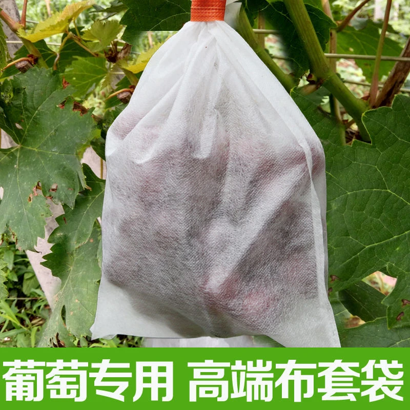 无纺布葡萄防虫防鸟套袋家用瓜果水果蔬菜丝瓜西瓜防水果袋保护袋