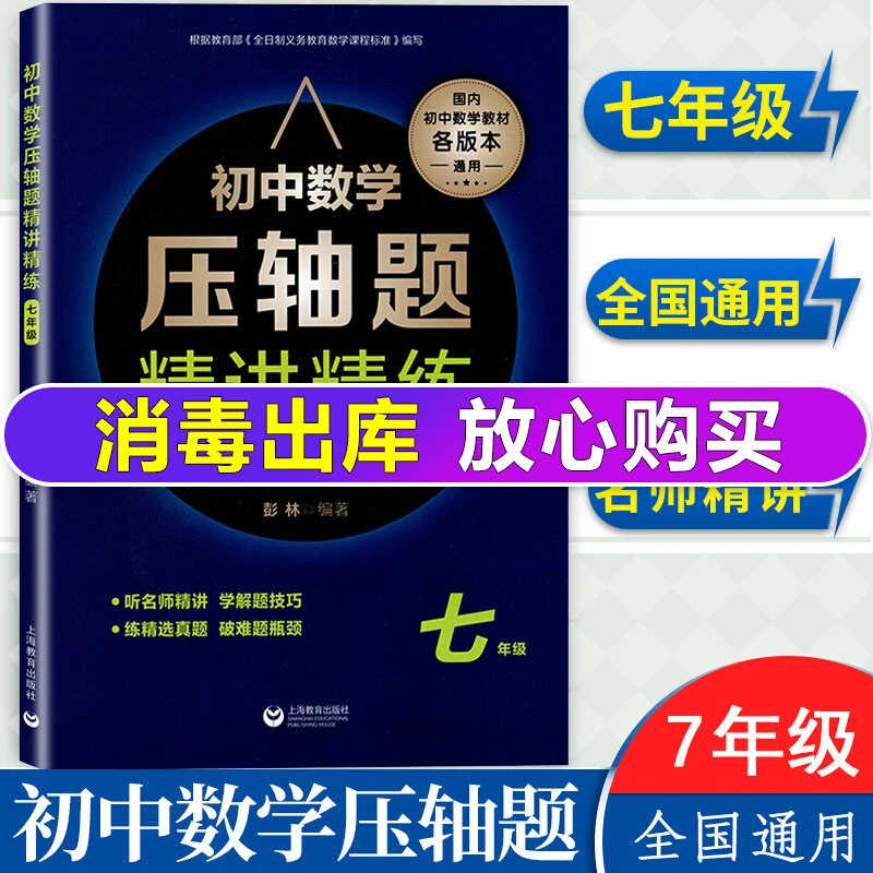 初中数学压轴题精讲精练 七年级初一 数学同步专项训练练习题刷题