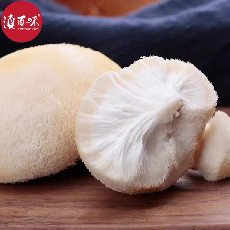 【新鲜猴头菇】食用菌养胃猴菇云南蘑菇顺丰包邮500g