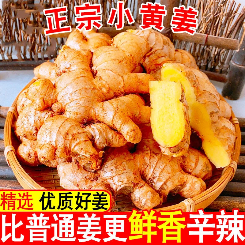 云南高山小黄姜新鲜精选叶菜生姜现挖嫩姜特产食材2-9斤包邮
