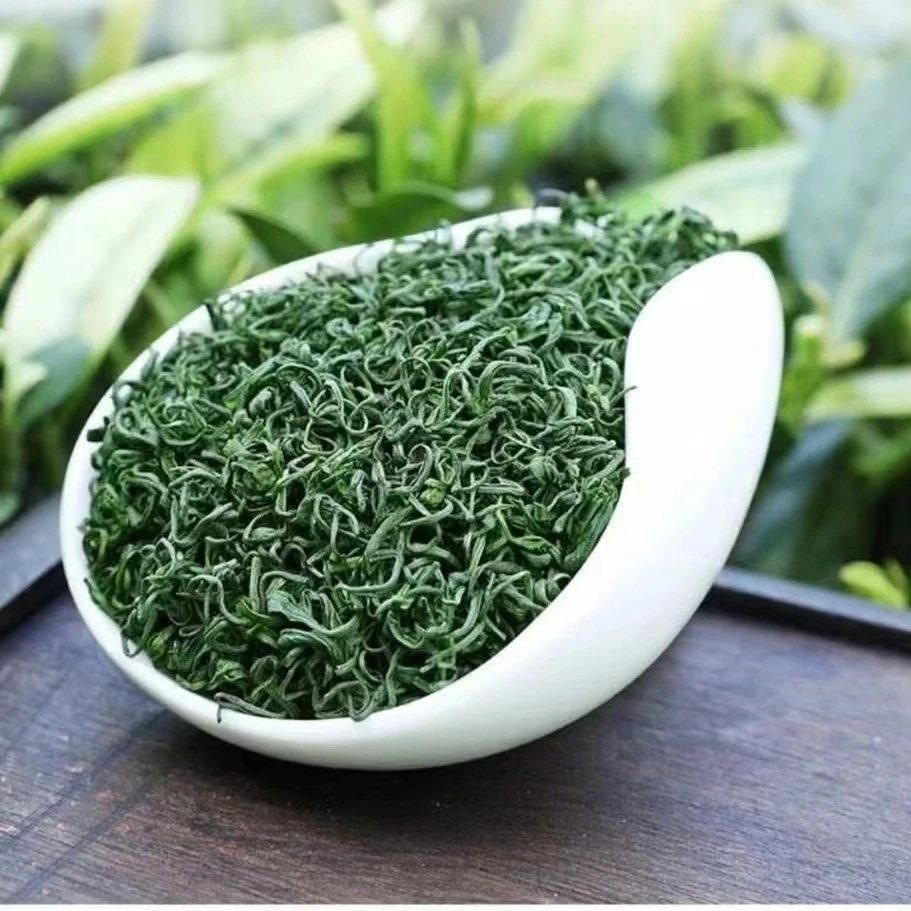 25年松阳香茶板栗香龙井43茶叶高山日照充足绿茶袋装500g/250g JX