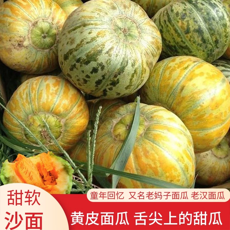 老品种黄黑花皮面瓜香瓜甜西瓜菜园四季春季蔬菜水果种子籽孑秧苗