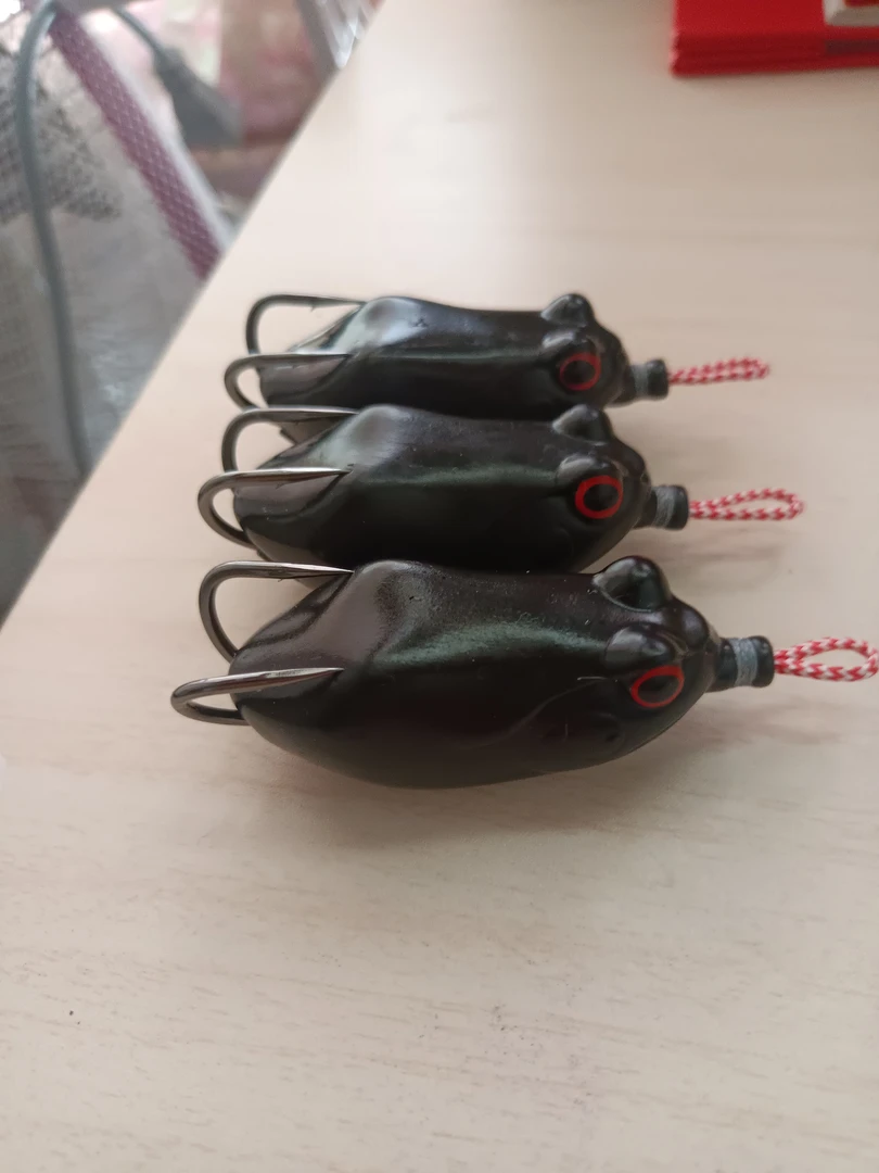 黑猎黑雷蛙打黑路亚饵