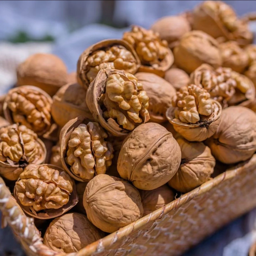 新疆特产阿克苏纸皮核桃薄皮核桃500g散装