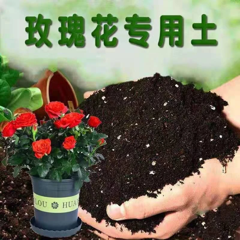 欧洲月季玫瑰栽种专用土有机营养土花卉培育松软透气疏松透气