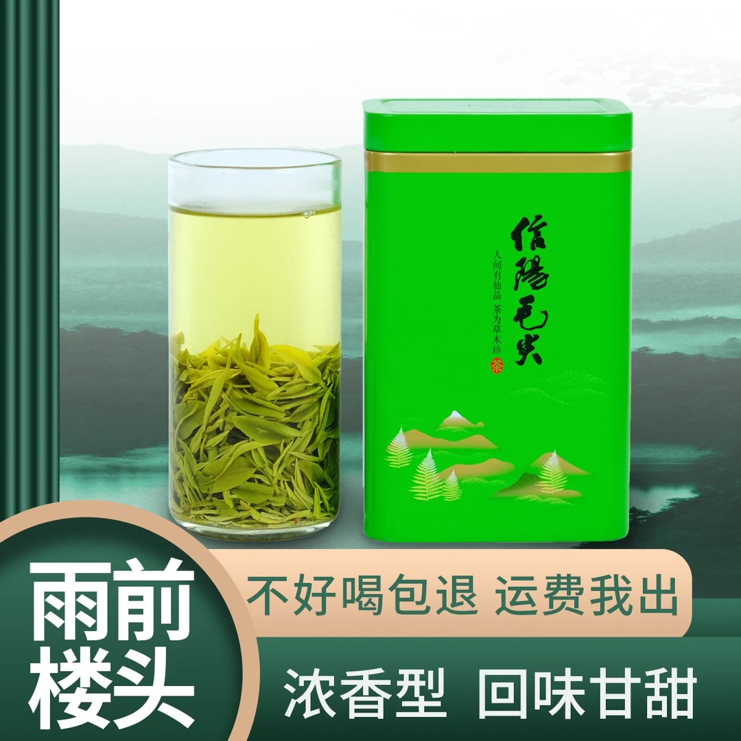 【雨前娄头】2024年信阳毛尖大山茶