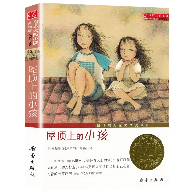 屋顶上的小孩 新蕾出版社 正版 国际大奖小说