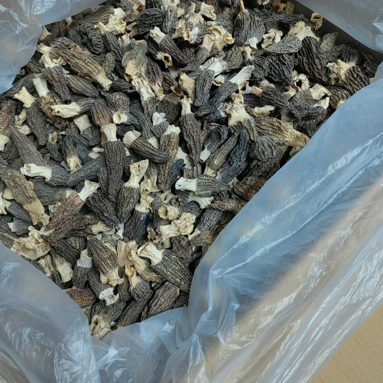 宇记海味 云南羊肚菌 厚肉款全国包邮