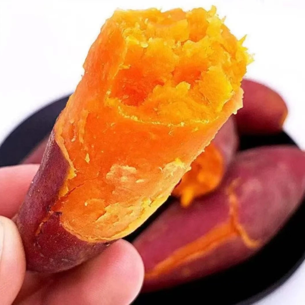 蜜薯西瓜红现挖沙地红薯 新鲜地瓜软糯香甜无筋无丝皮薄5斤 9斤