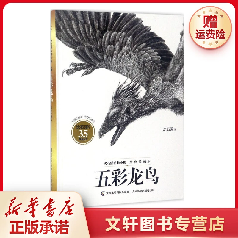 【文轩】五彩龙鸟 儿童文学