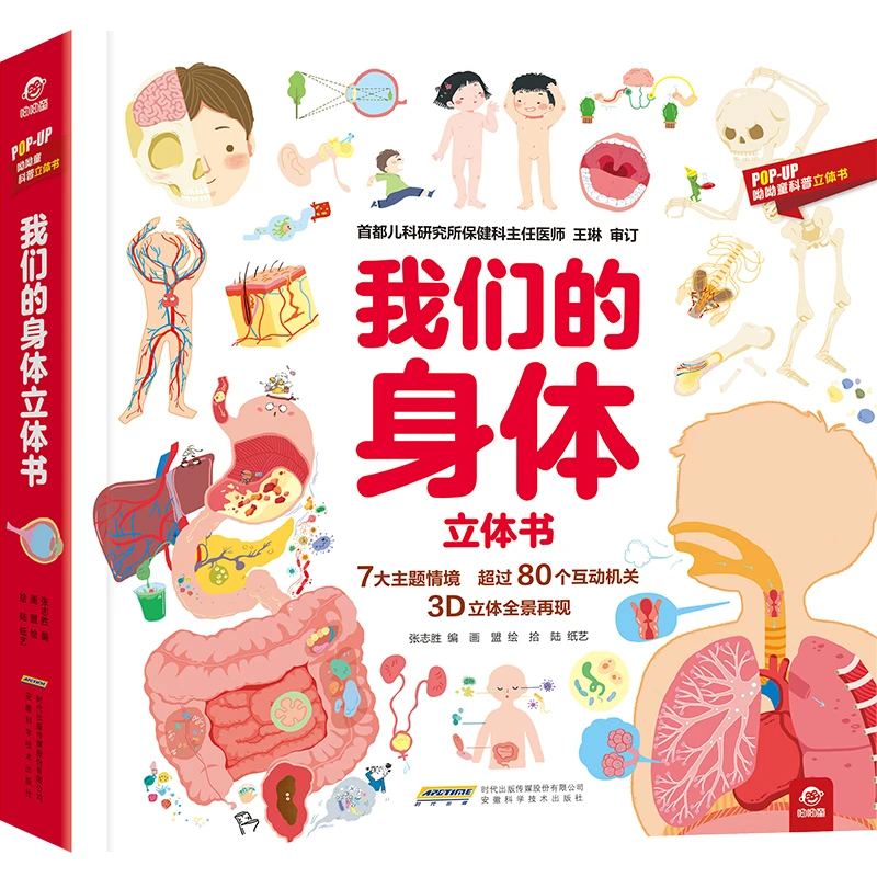 【文轩】【POP-UP科普立体书】我们的身体立体书 少儿科普