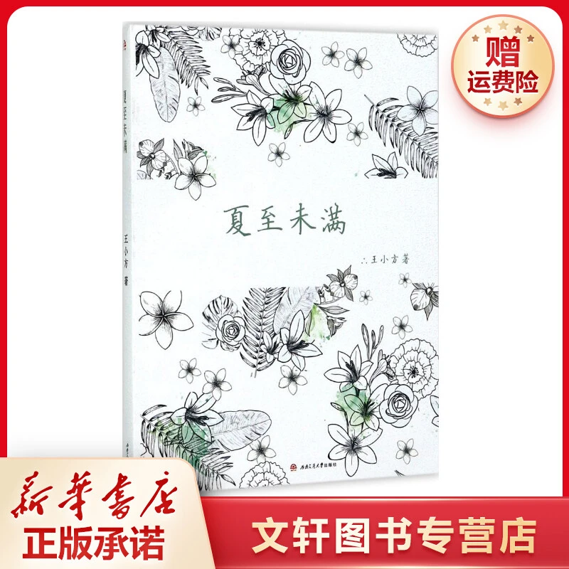 【文轩】夏至未满 中国现当代文学