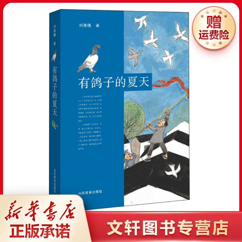 【文轩】有鸽子的夏天 绘本