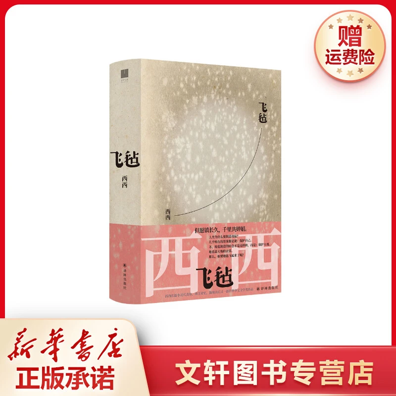 【文轩】飞毡 中国现当代文学