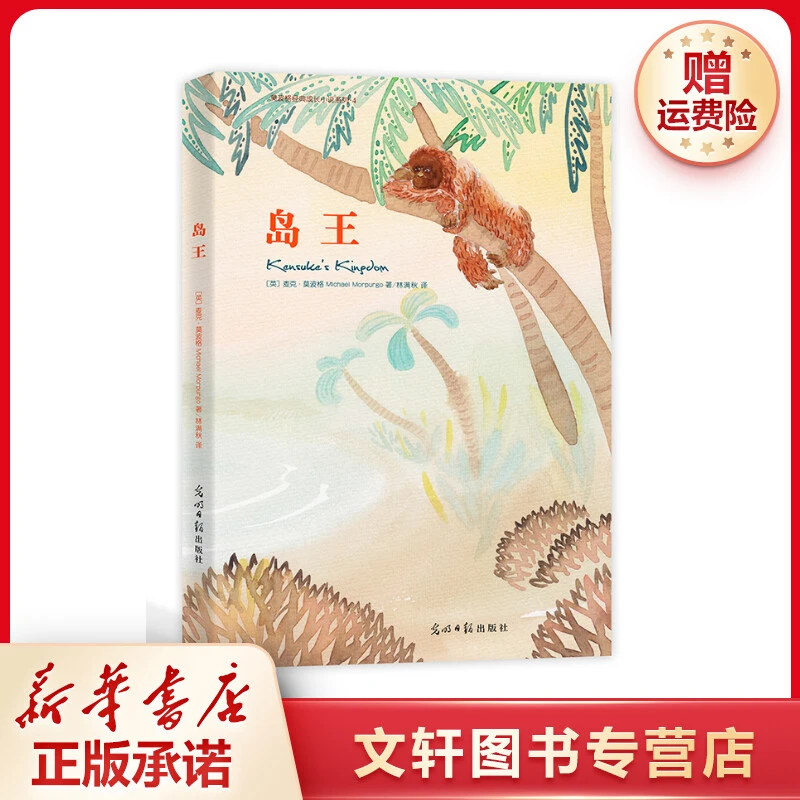 【文轩】岛王（2021） 儿童文学