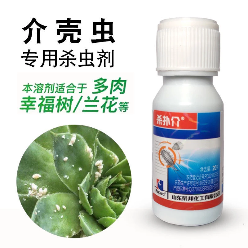 介壳虫 杀虫剂花卉园艺多肉通用噻嗪酮果树兰花吹绵蚧壳虫矢尖蚧