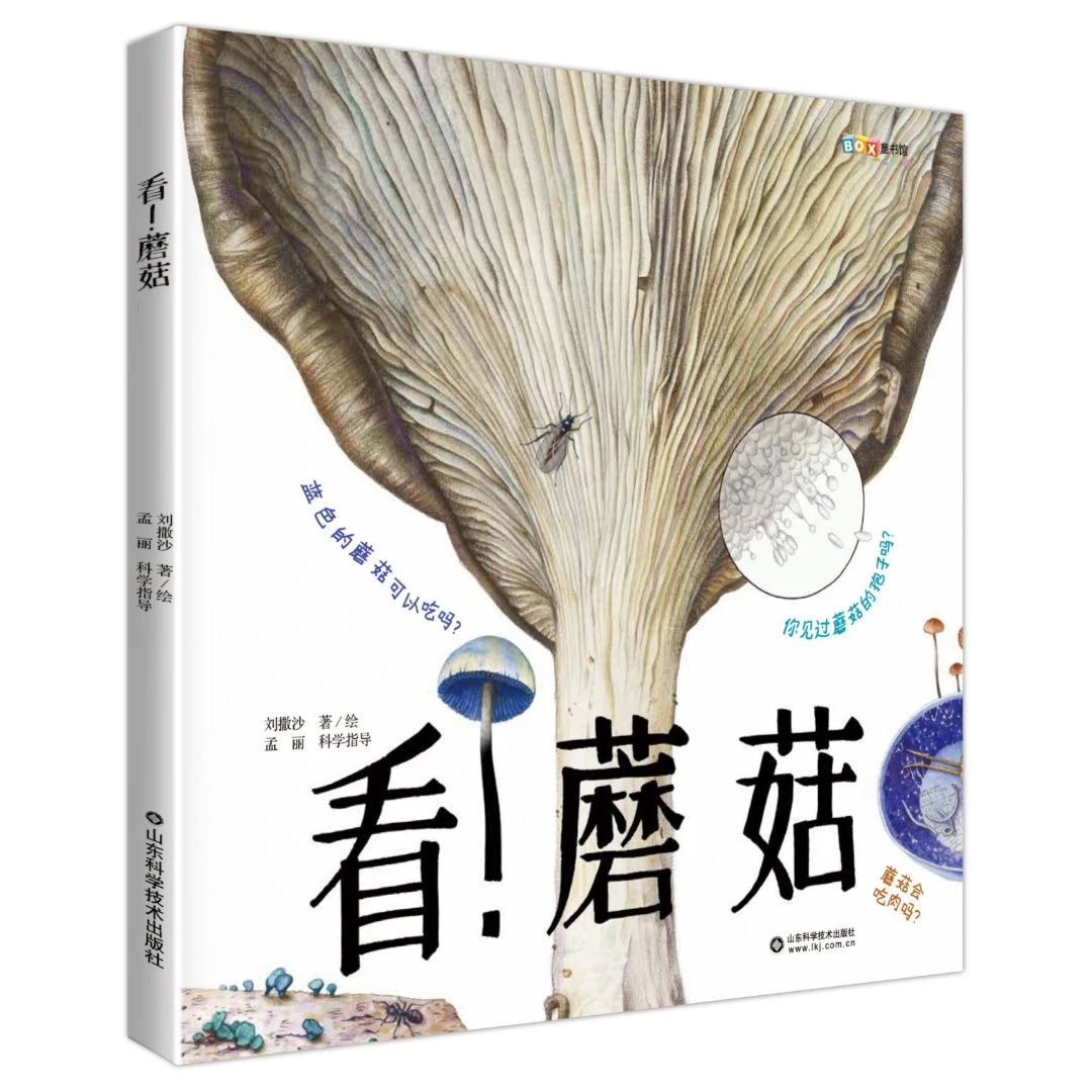家门外的自然课系列——看！蘑菇