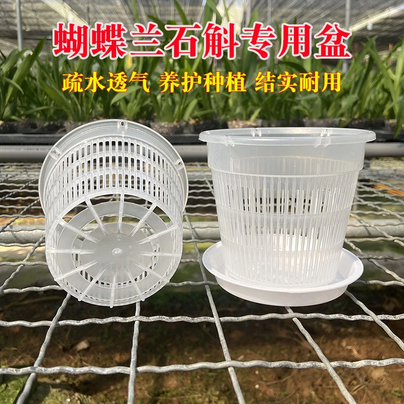 蝴蝶兰专用控根花盆铁皮地面盆新款绿植盆桌面简约花卉透气盆塑料