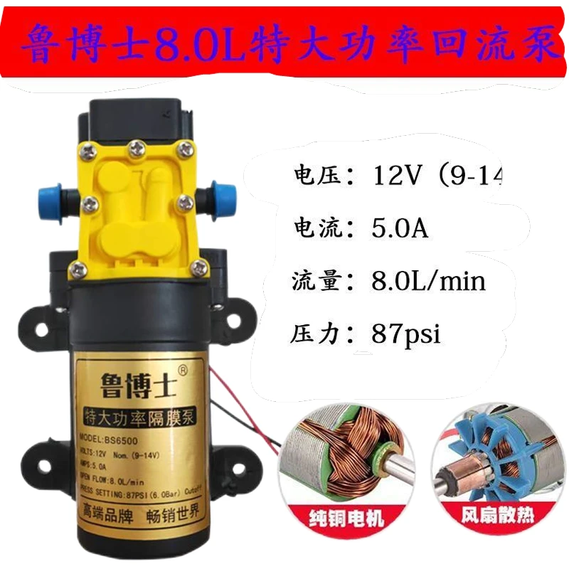 电动喷雾器特大功率隔膜泵高效喷洒工具