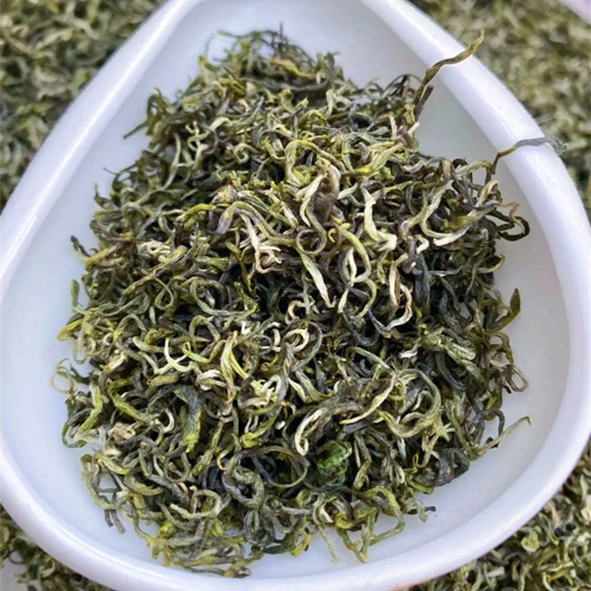 （明前贡品）2025新茶江西遂川狗牯脑茶叶全芽茶罐装100g500g