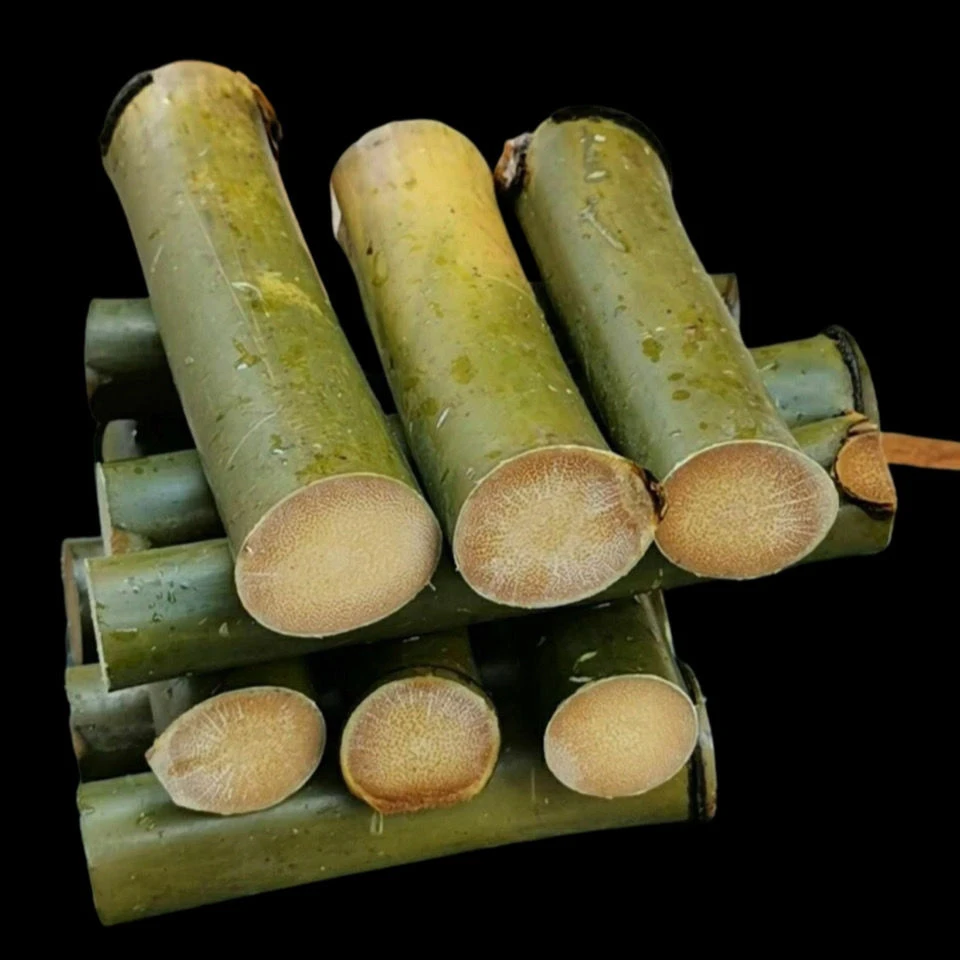 精品满纹实心玉竹老料高密度一把抓竹雕刻文玩手把件原料拍一发四