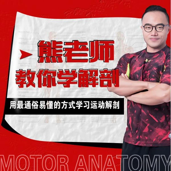用通俗易懂的方式教你学运动解剖