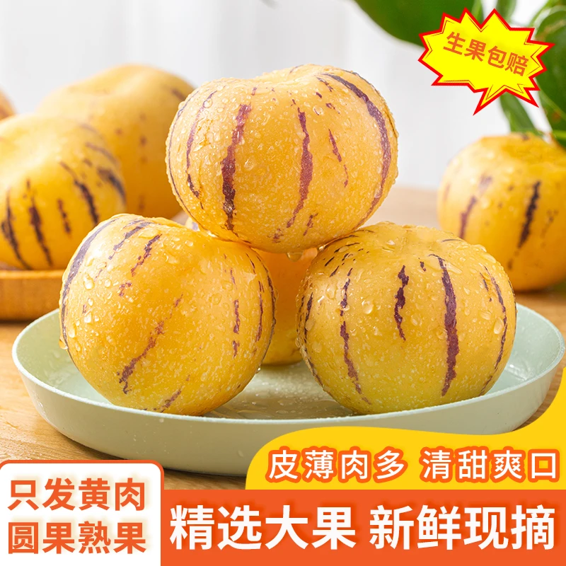 【顺丰包邮】坏损包赔云南石人参果新鲜树熟皮薄爆汁低糖甄果香多汁