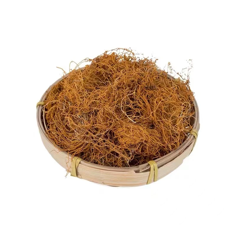 高原冷杉红雪芽泡水夏季200g