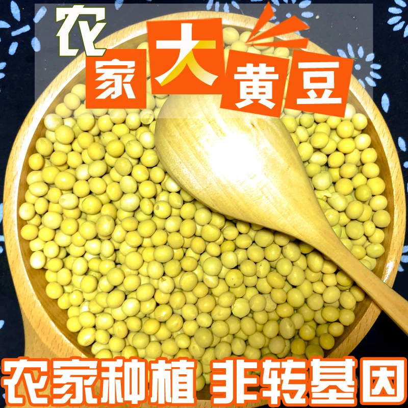 东北黄豆新豆400gX5袋农家自种小黄豆黑龙江笨大豆发豆芽打豆浆用