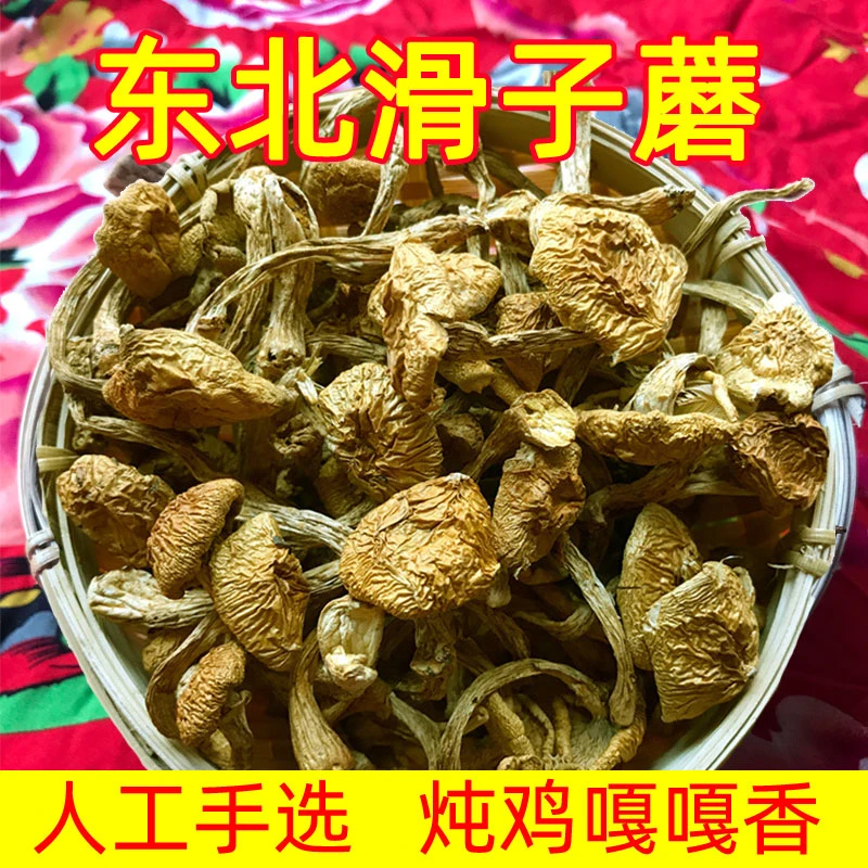 东北滑子蘑200g滑子菇特产非榛蘑菌菇小鸡炖蘑菇产地直发无根手选