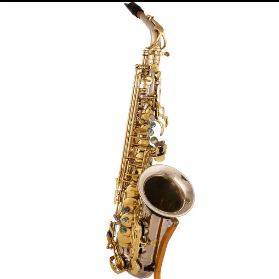 SAKAYA 萨卡亚降E中音萨克斯乐器演奏学习用 SAS-898