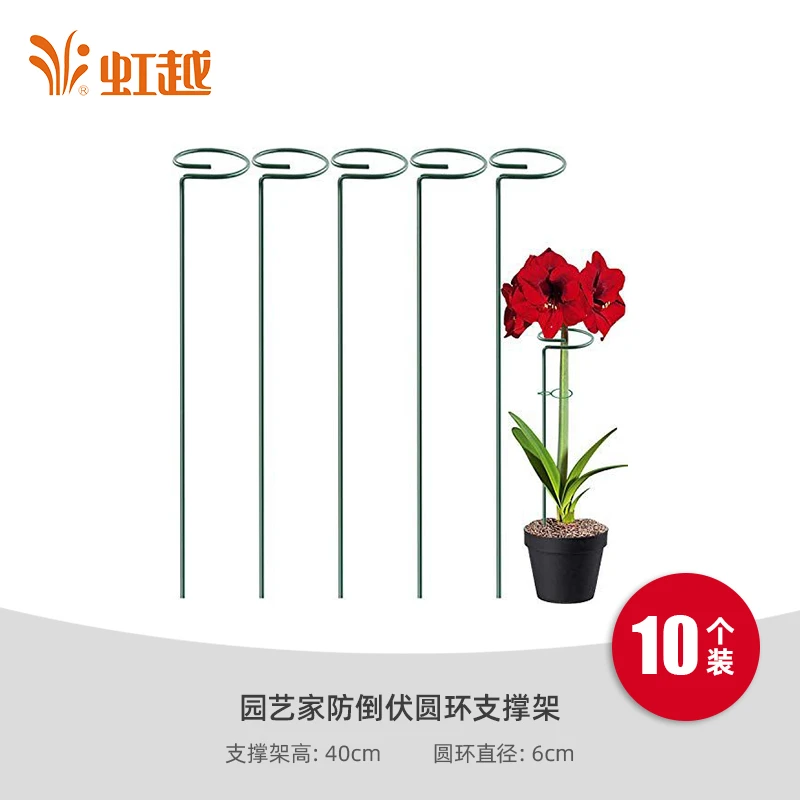 虹越 | 防倒伏支架圆环支撑架   朱顶红龟背竹绿植适用支架