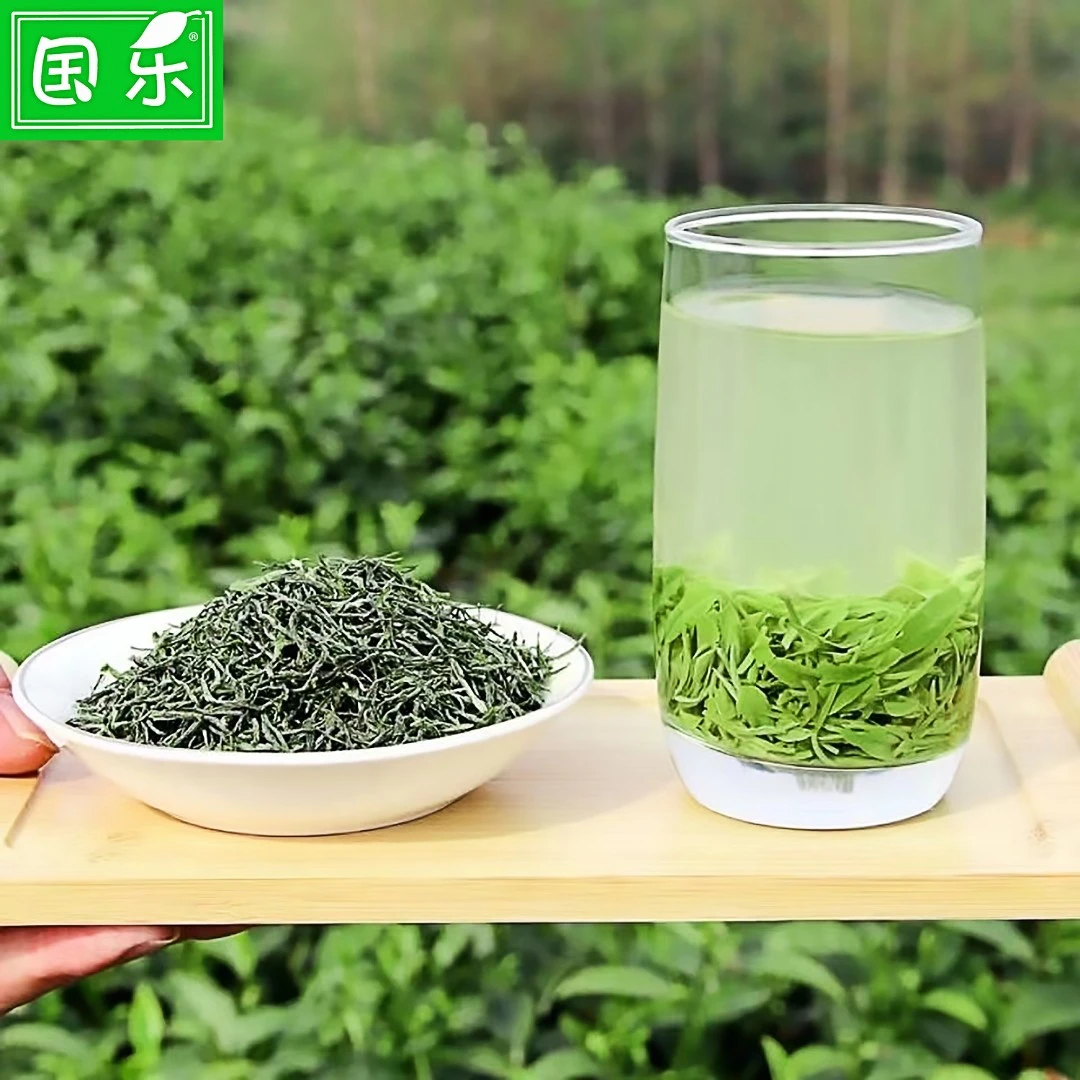 国乐2025新茶信阳毛尖谷雨前高山芽叶浓郁口粮茶上新浓香茶厂醇香