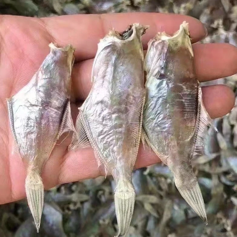 【生晒鱼干】剥皮鱼干淡口干度足小鱼干干货