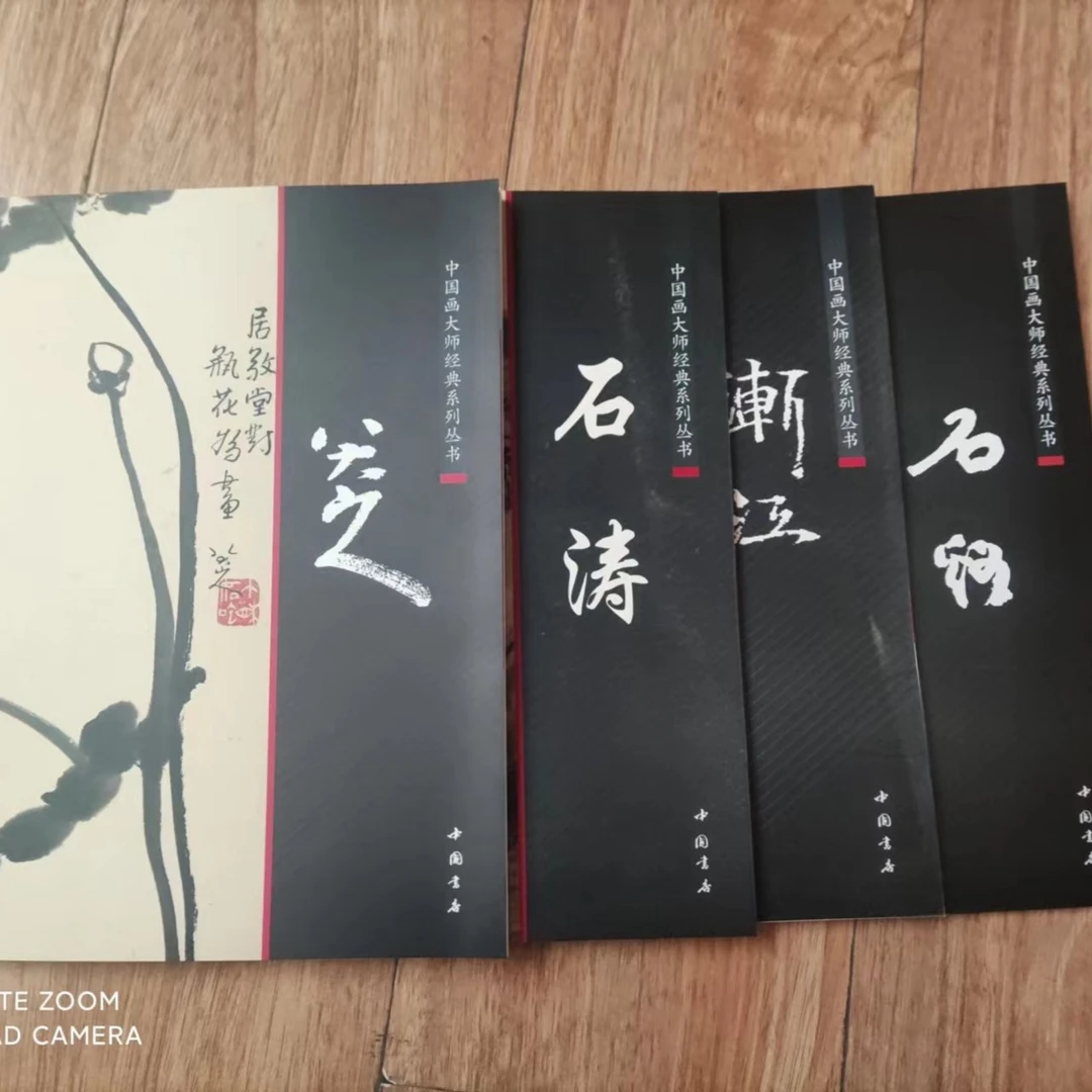 4本清代四僧画集，渐江八大石涛石溪