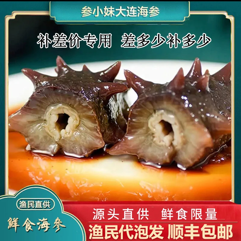 399升单2496 【参小妹】鲜食海参大连辽刺参 工厂直发正宗新鲜营养
