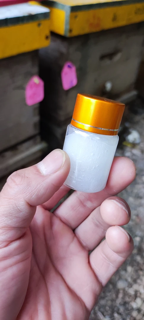 胡蜂净 毁巢灵 一日净 金环 红娘 黑尾专用