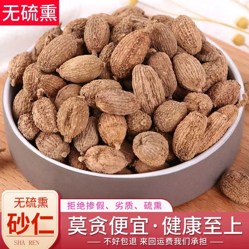 广东沙仁香沙仁 春沙仁毛沙仁 烧菜卤肉火锅香料煲汤蒸肉调料