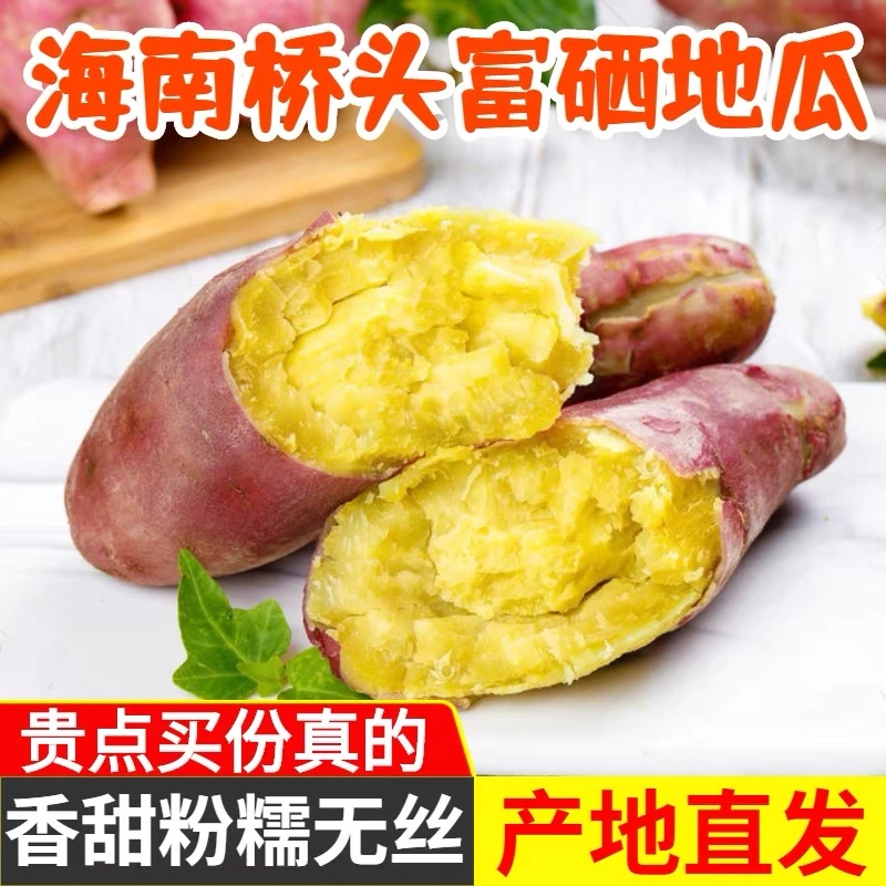 海南澄迈富硒地瓜桥头地瓜板栗薯新鲜现挖精选5斤/9斤