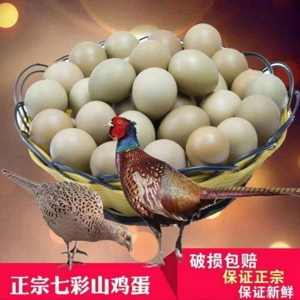30枚60枚正宗七彩山鸡蛋新鲜直达破损包赔农户直发五谷杂粮