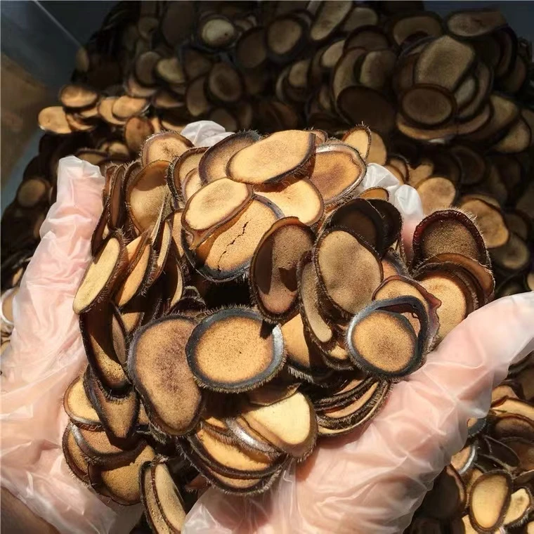 人工驯养 鹿 茸 片鹿 茸 粉