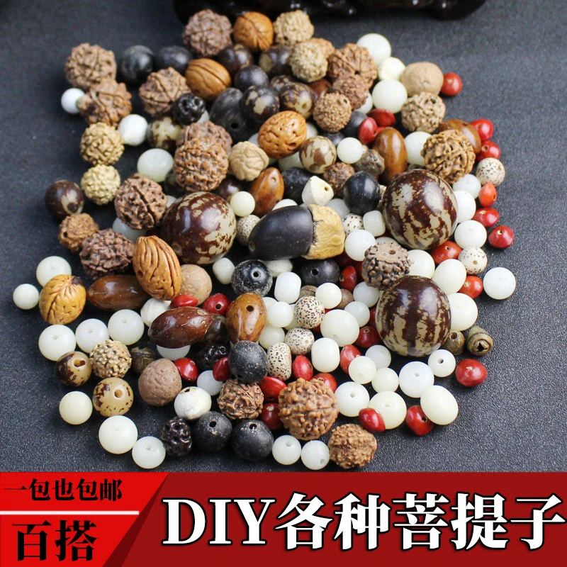 陵固思菩提原籽红豆金刚星月散珠隔珠隔片DIY配珠