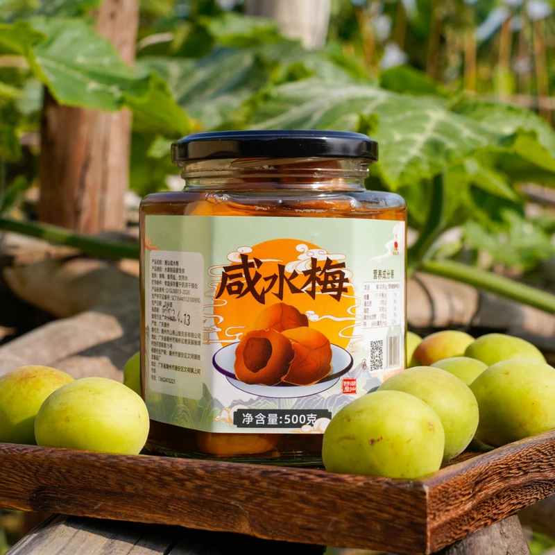 咸水梅 潮汕特产青梅手工腌制盐水酸梅 500g潮州山哥推荐烹饪食材