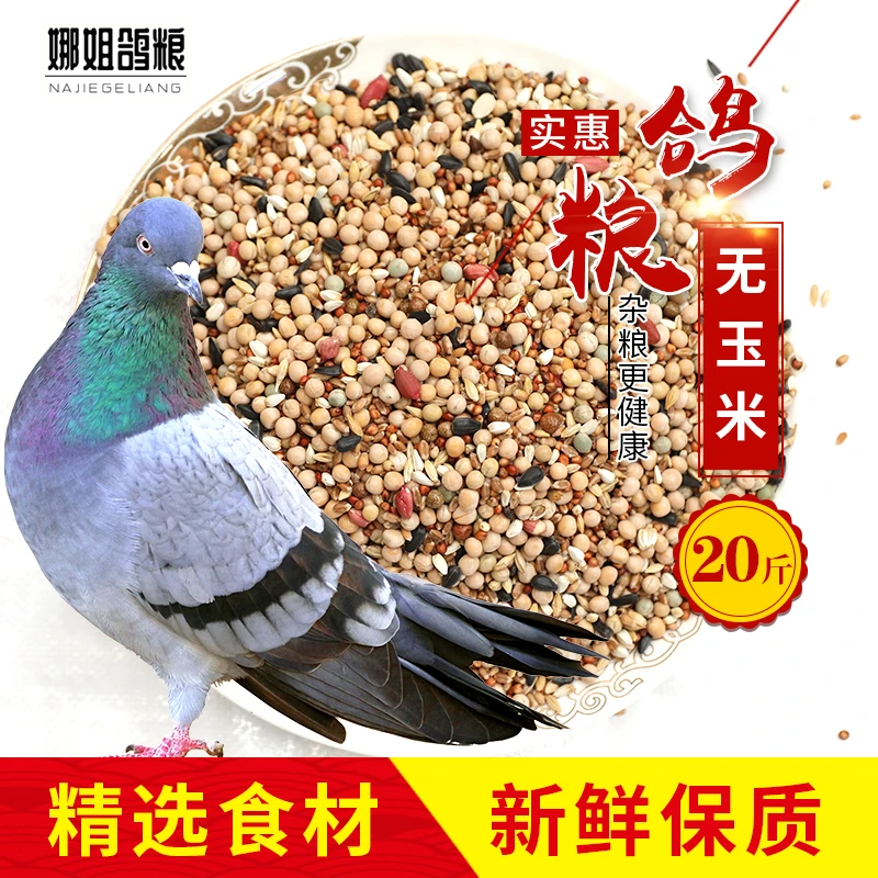 20斤新无玉米鸽子粮食营养饲料鸟食信鸽观赏鸽肉鸽幼鸽成鸽粮食