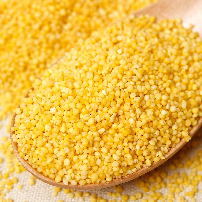 陕西农家黄小米2斤/5斤新米养胃黄小米粥小黄米粗粮五谷杂粮